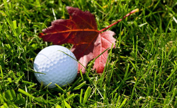 Herbst-Querfeldein-Turnier